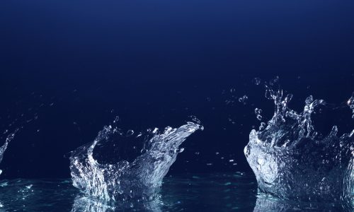 Apprendre à grandir dans l'épreuve