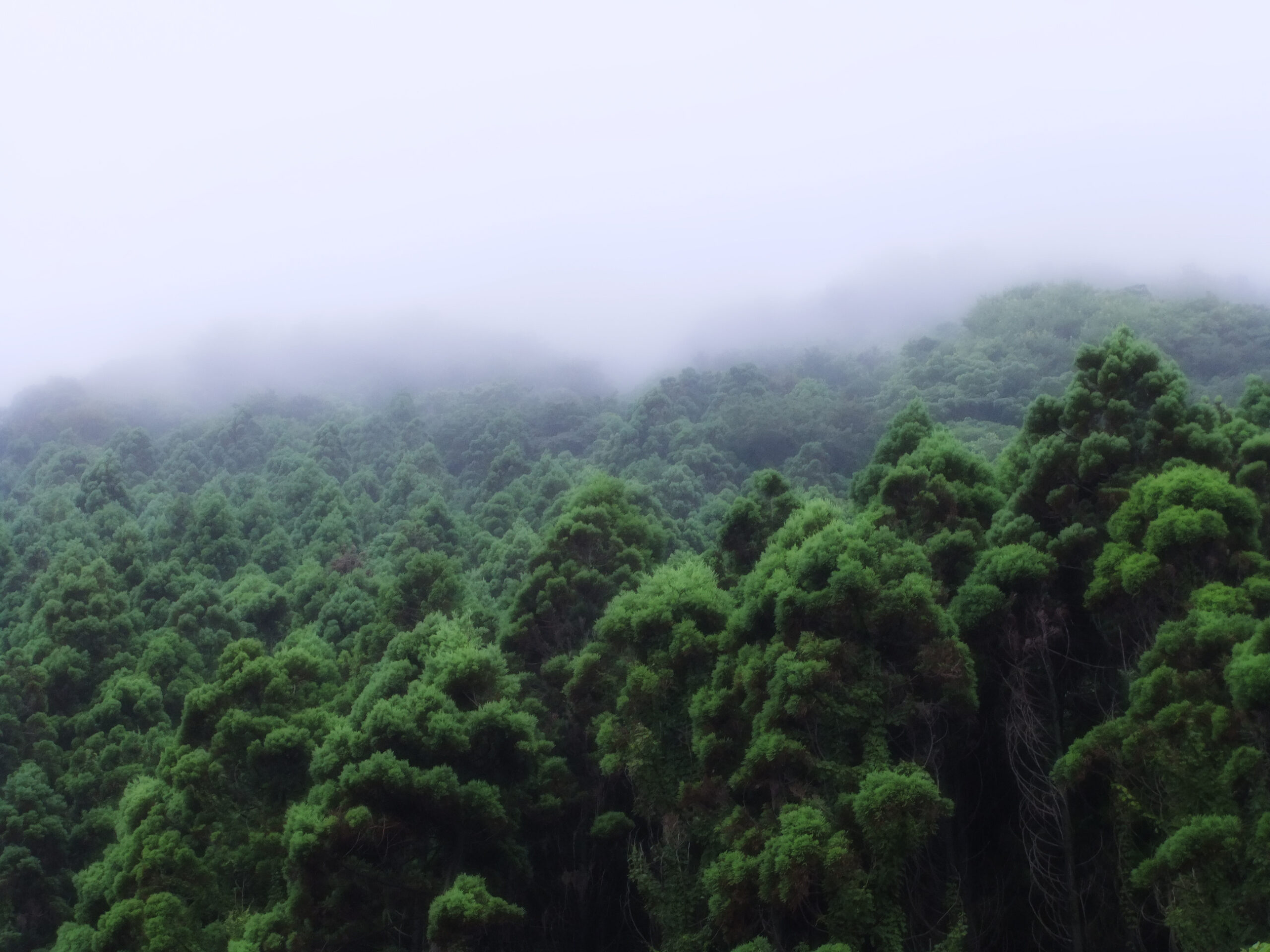 Biodiversité, climat et santé mentale : le lien ?