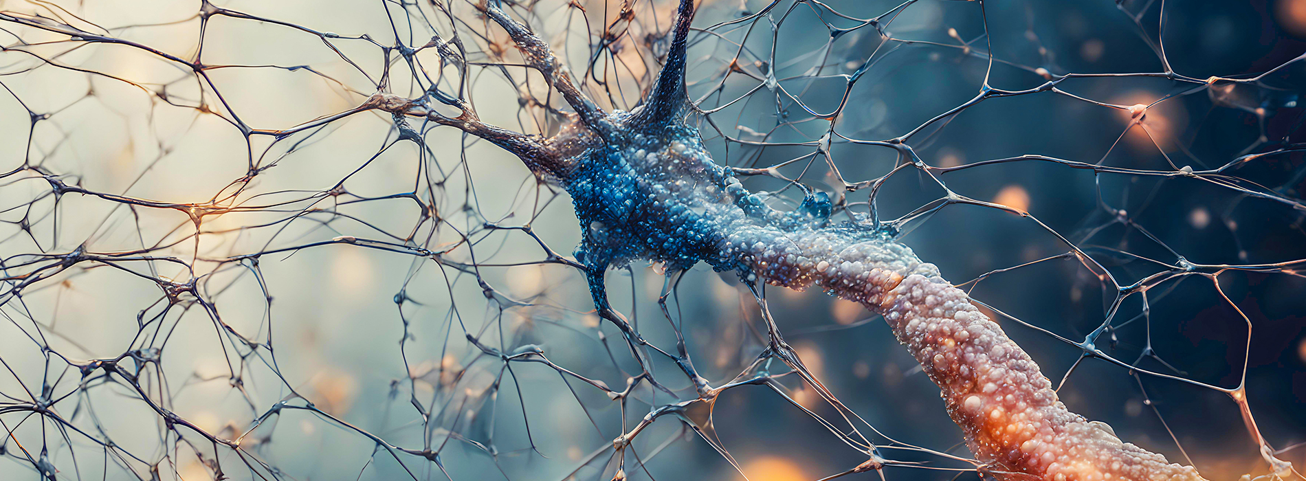 Contexte vs Cerveau Que faire pour (vraiment) changer ?